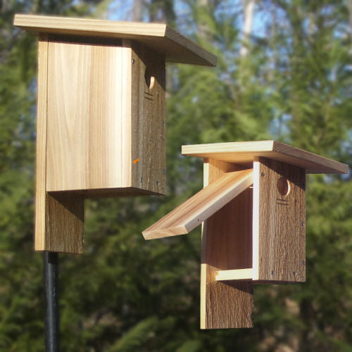 Bird House Class | June 13th | 1 PM | Guardian and Child