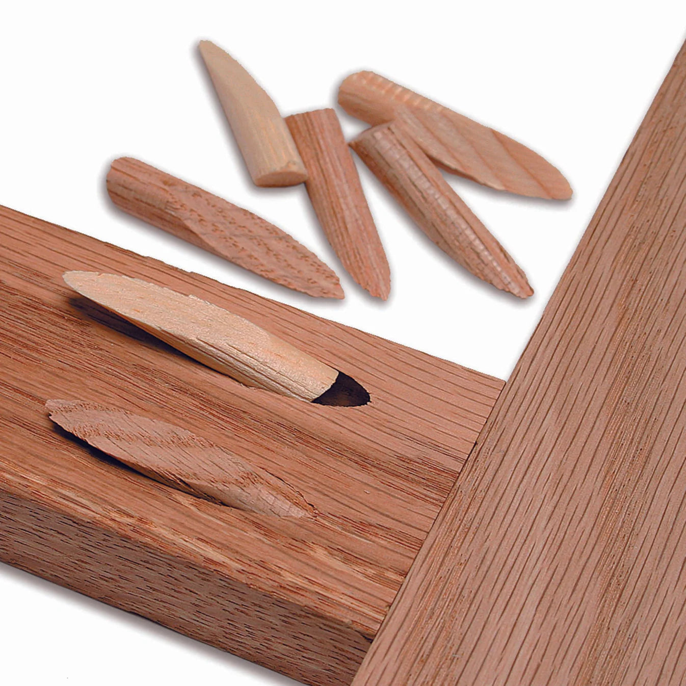 Solid Wood Pocket-Hole Plugs | 50 Count
