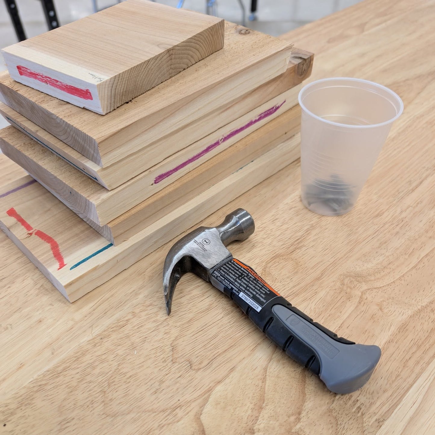 Bird House Class | July 31st | 10 AM | Guardian and Child