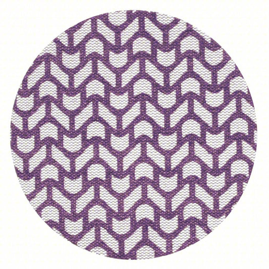 CUBITRON II Hook-and-Loop Sanding Disc: Xtract 710W, 5 in Diameter | 50ct