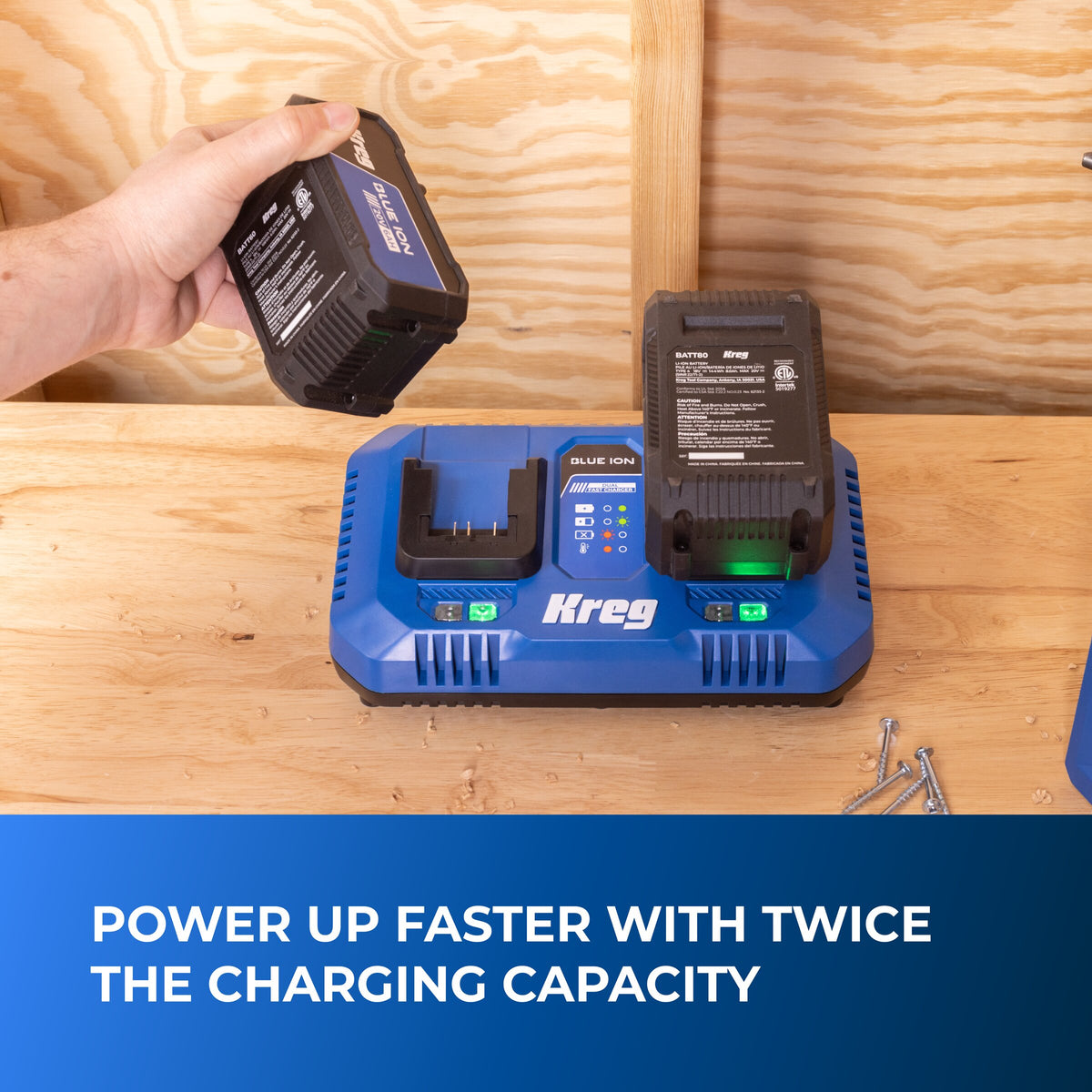 20V Blue Ion™ Dual Fast Charger