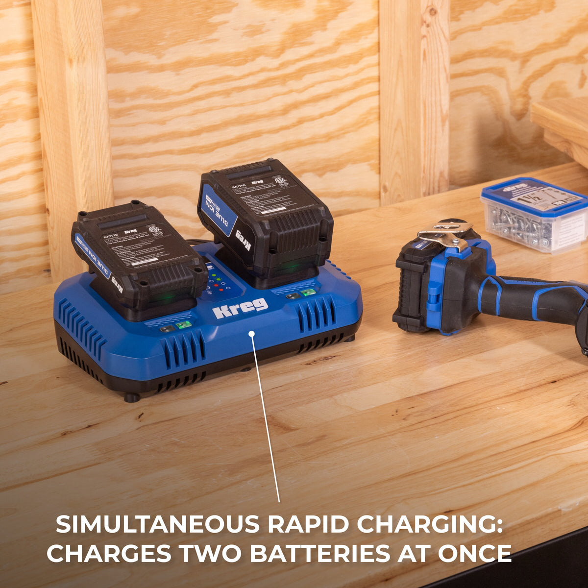 20V Blue Ion™ Dual Fast Charger