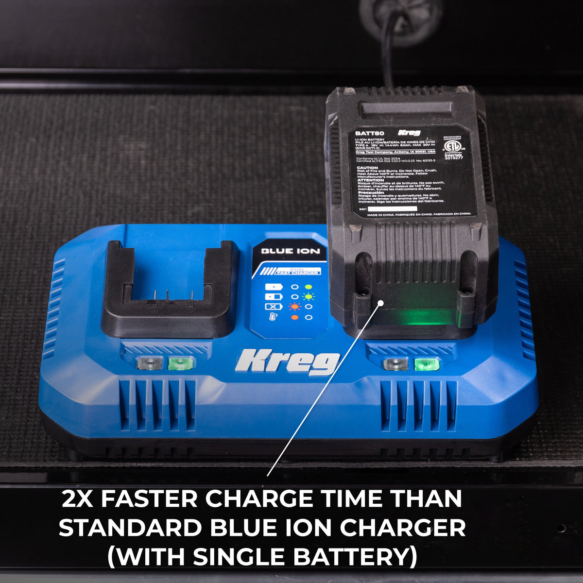 20V Blue Ion™ Dual Fast Charger