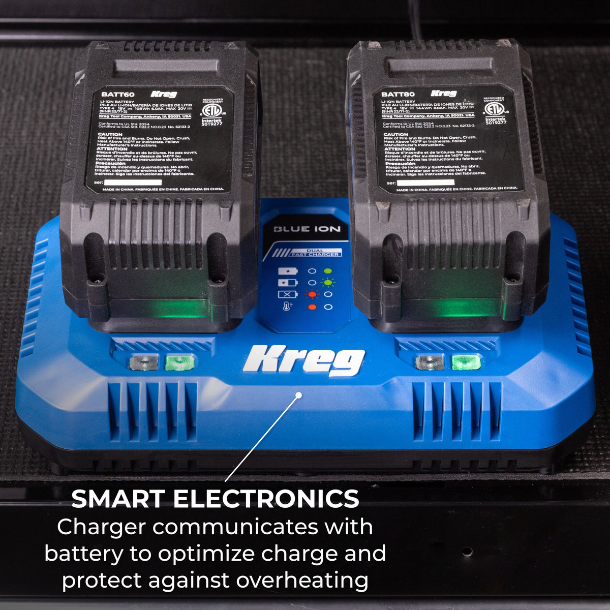 20V Blue Ion™ Dual Fast Charger