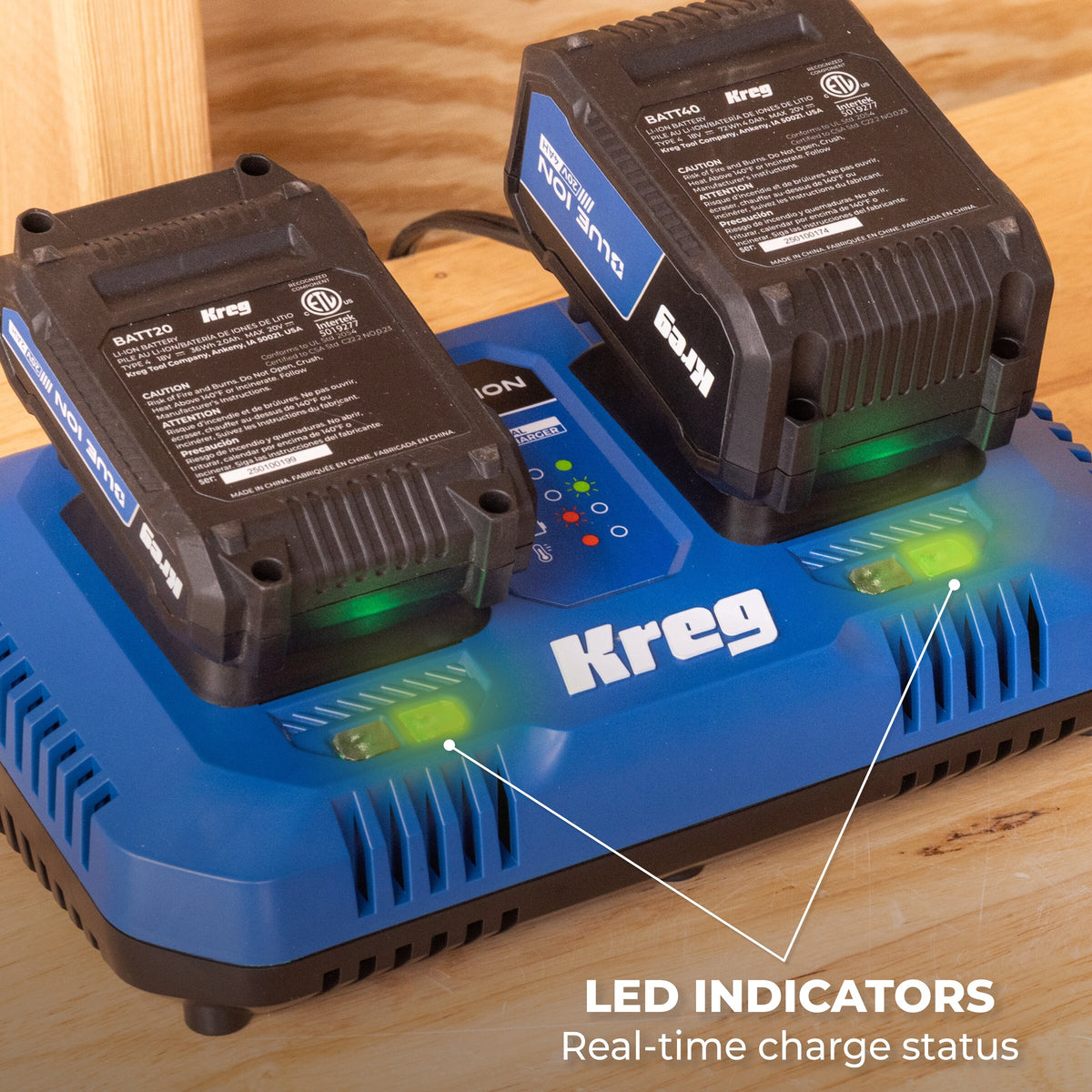 20V Blue Ion™ Dual Fast Charger