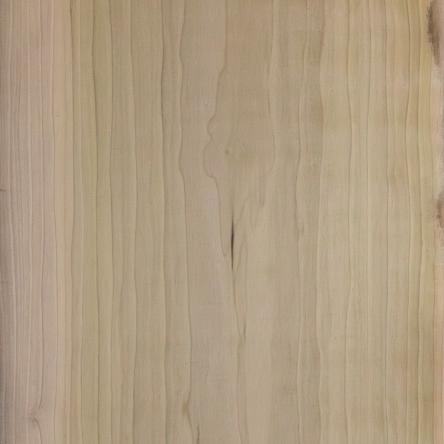 Poplar Hardwood | 5/4"